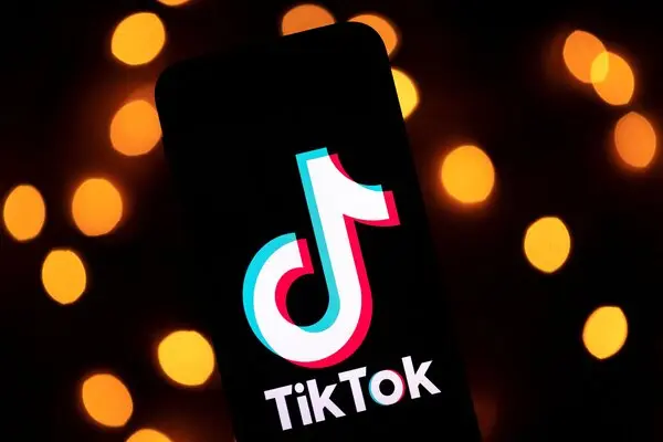 TikTok Downloaders